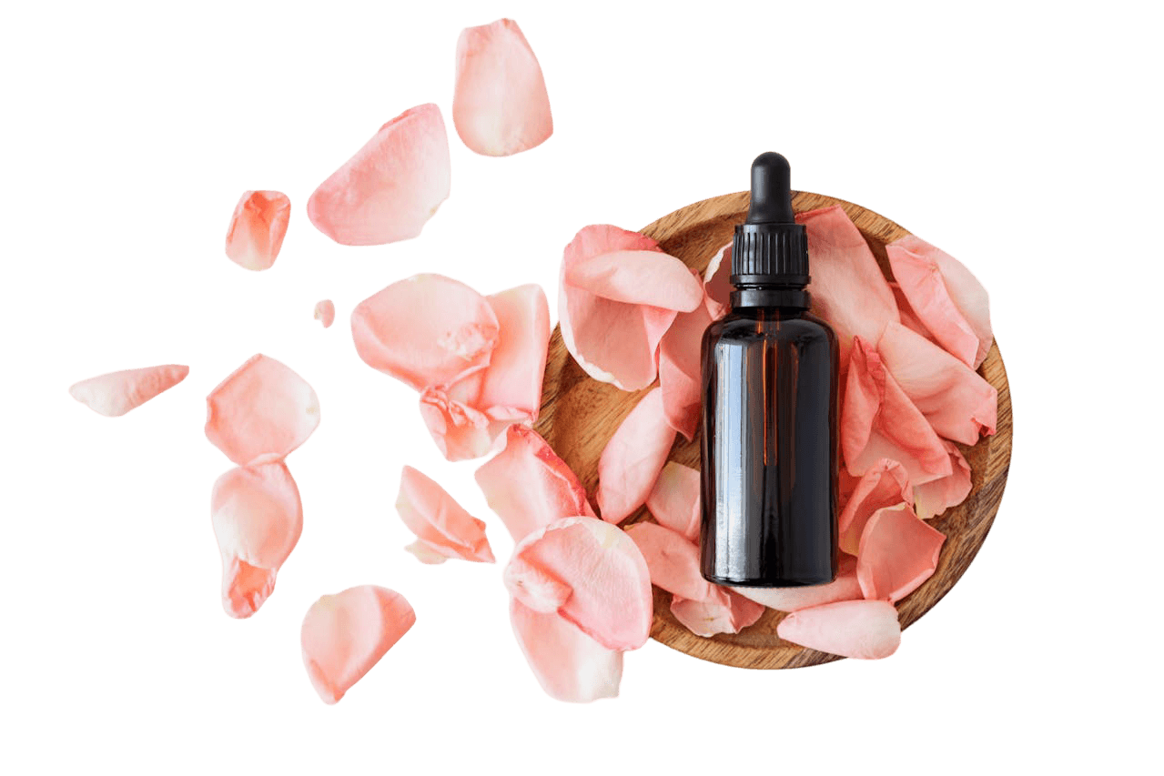 Floating rose petals background